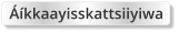 Áíkkaayisskattsiiyiwa
