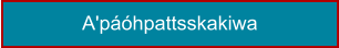 A'páóhpattsskakiwa