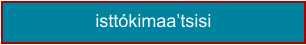 isttókimaa’tsisi