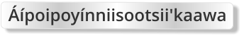 Áípoipoyínniisootsii'kaawa