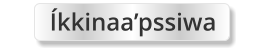Íkkinaa’pssiwa