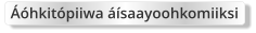Áóhkitópiiwa áísaayoohkomiiksi